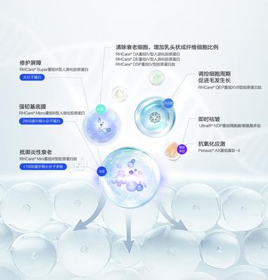 重組膠原蛋白賽道的創(chuàng)新解題思路 對(duì)話迪諾薇華孫璞談細(xì)胞技術(shù)研發(fā)與應(yīng)用